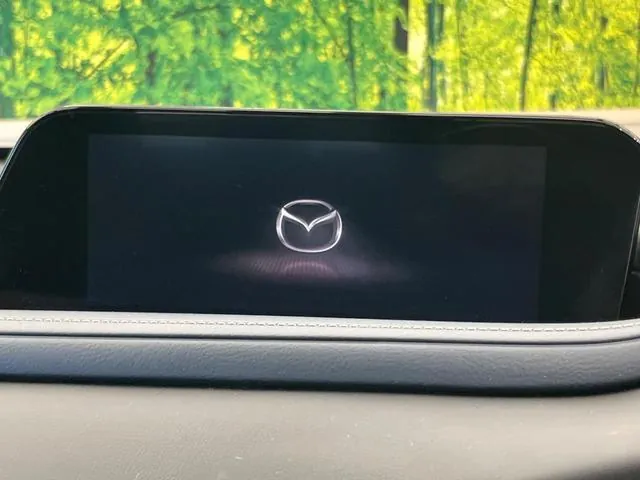 Mazda Cx-30 2020 photo 3