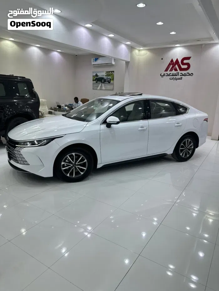 BYD Destroyer 5 2025 photo 2