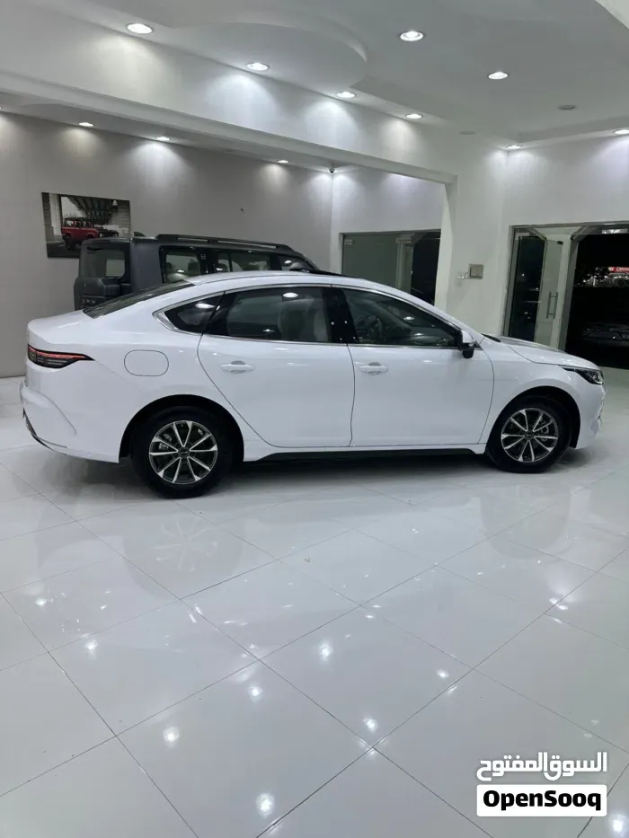 BYD Destroyer 5 2025 photo 3