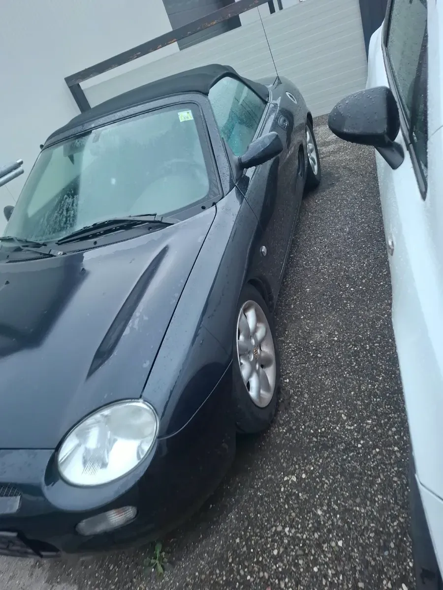 MG Mg F