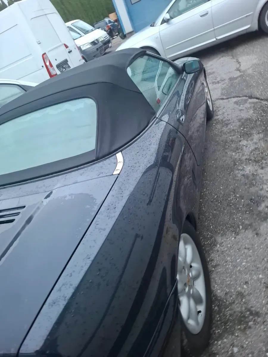 MG Mg F 2000 photo 2