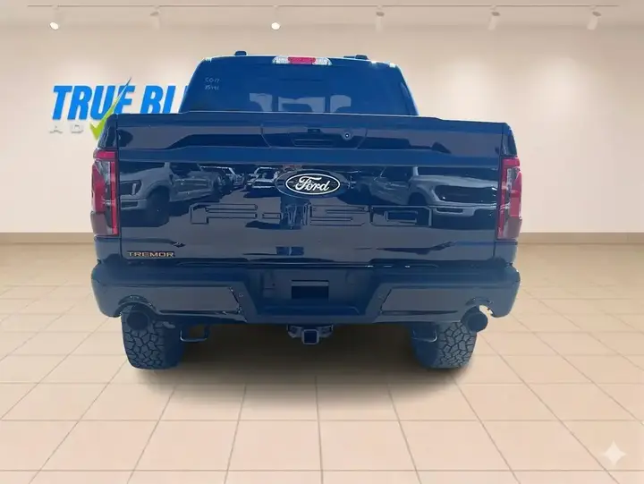 Ford F-150 2026 photo 4