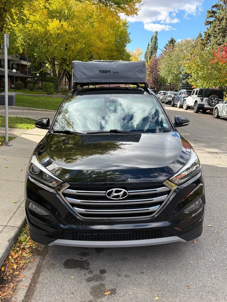 Hyundai Tucson 2017 photo 2