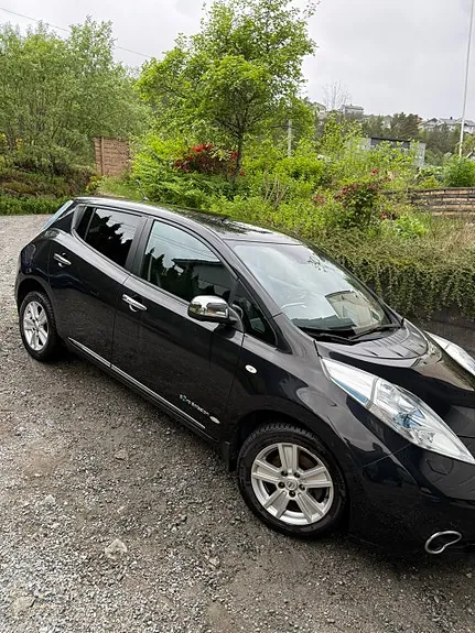 Nissan Leaf 2013 photo 2