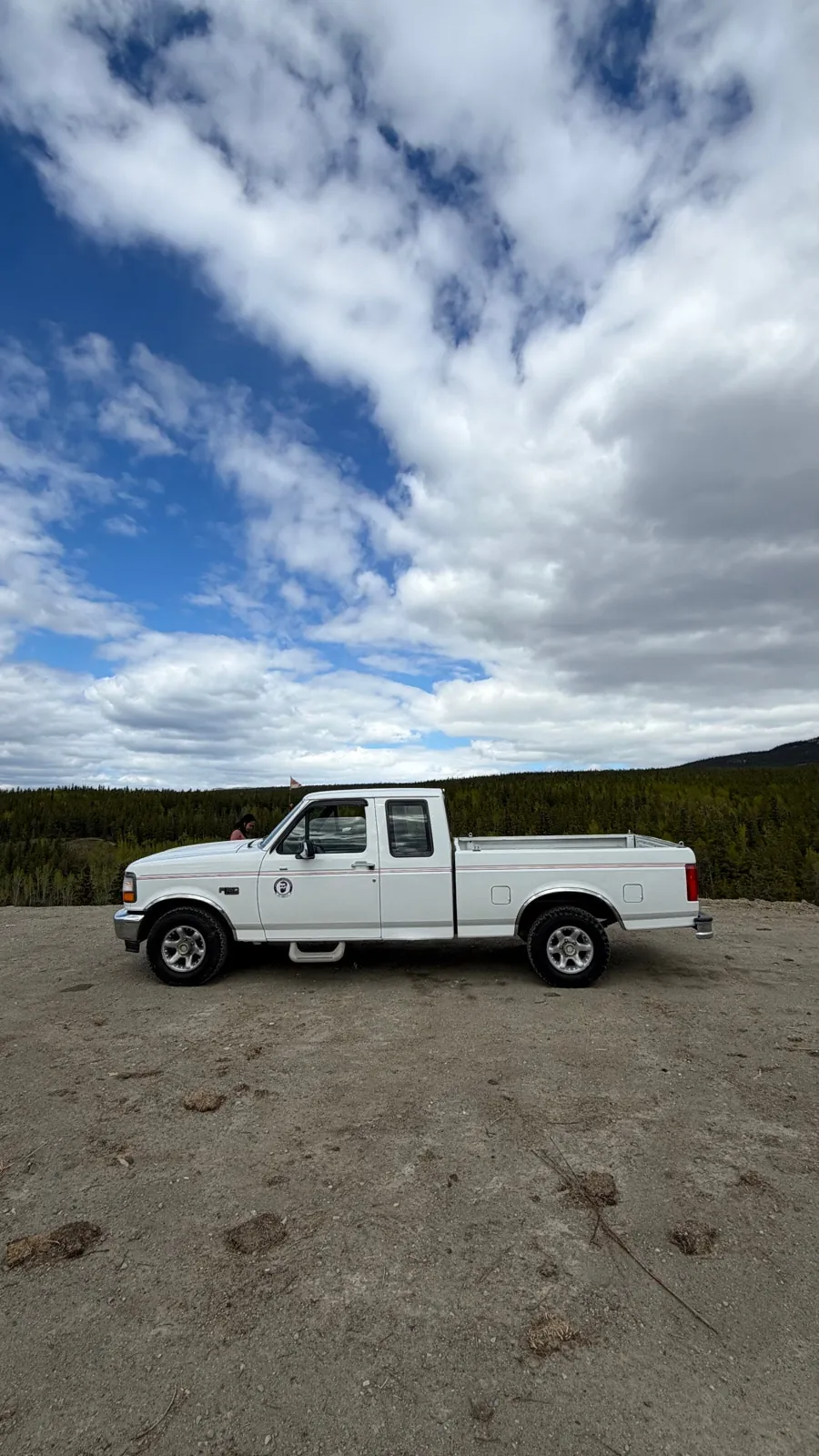Ford F-150 1993 photo 2