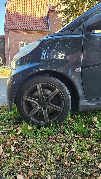 Smart Fortwo 2011 photo 5
