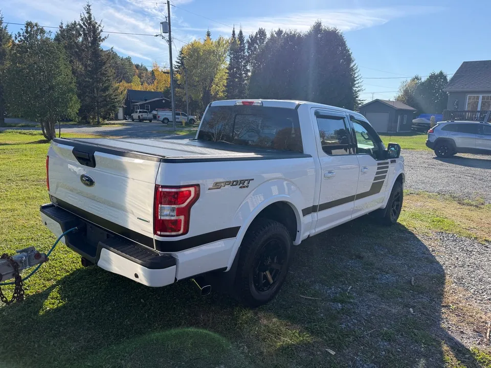 Ford F-150 2019 photo 3