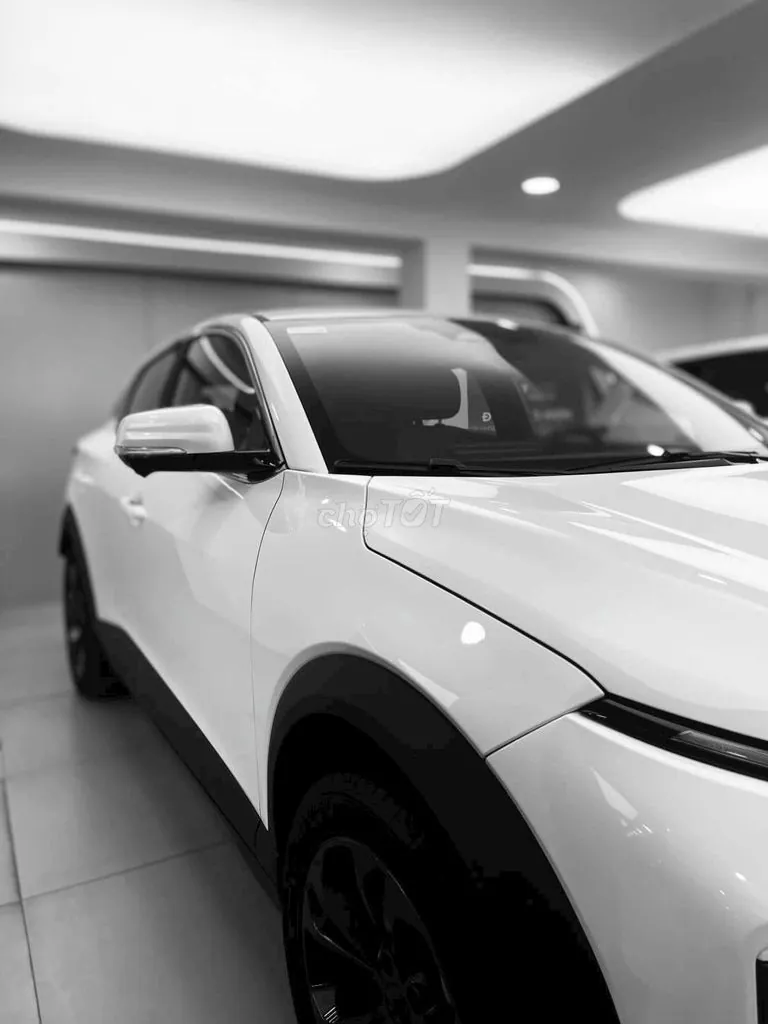 Vinfast Vf6
