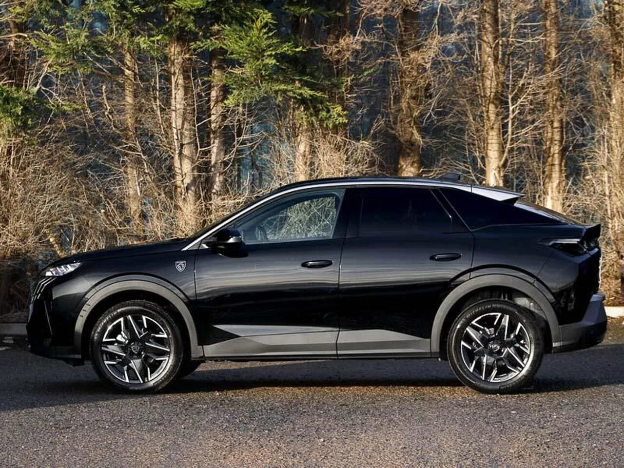 Peugeot 3008 2026 photo 4