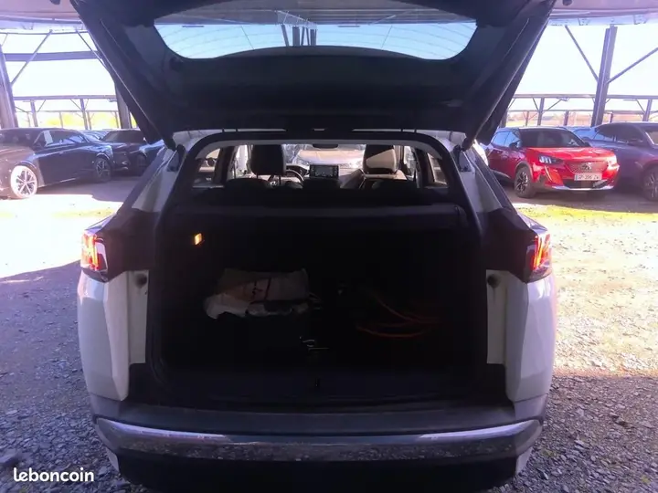 Peugeot 3008 2021 photo 3