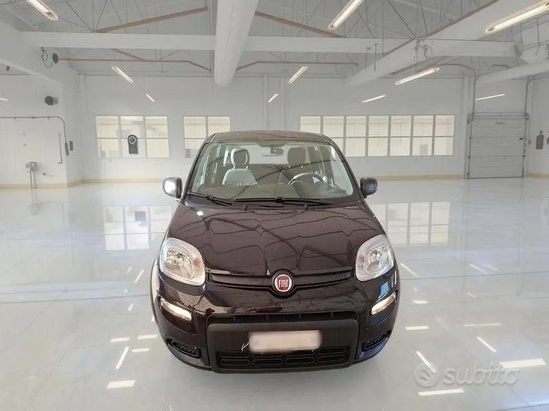 Fiat Panda 2023 photo 2