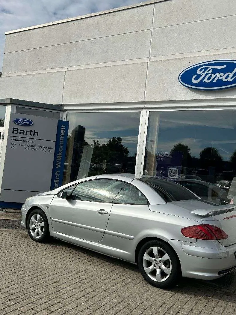 Peugeot 307 2006 photo 2
