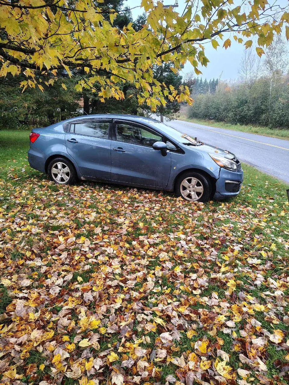 Kia Rio 2016 photo 3