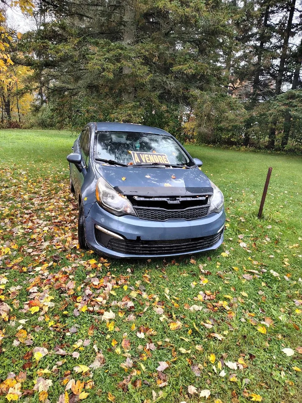 Kia Rio 2016 photo 2