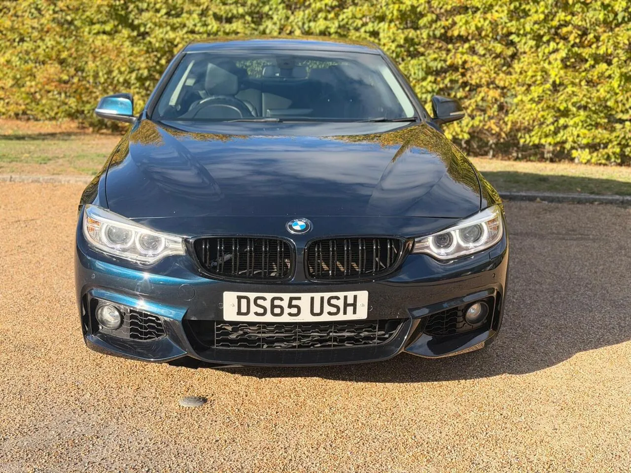 BMW 4 Series 2015 photo 3
