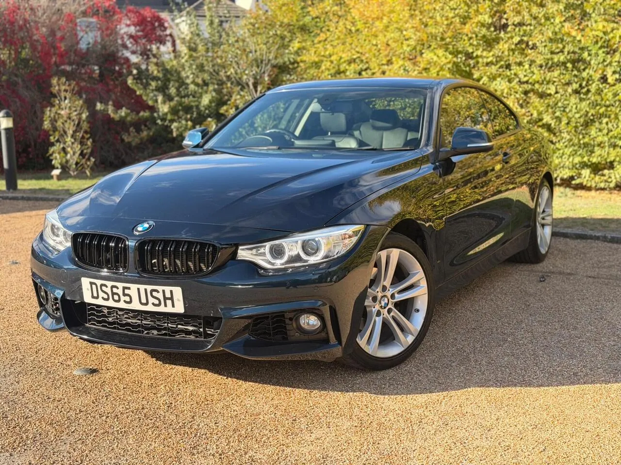 BMW 4 Series 2015 photo 2