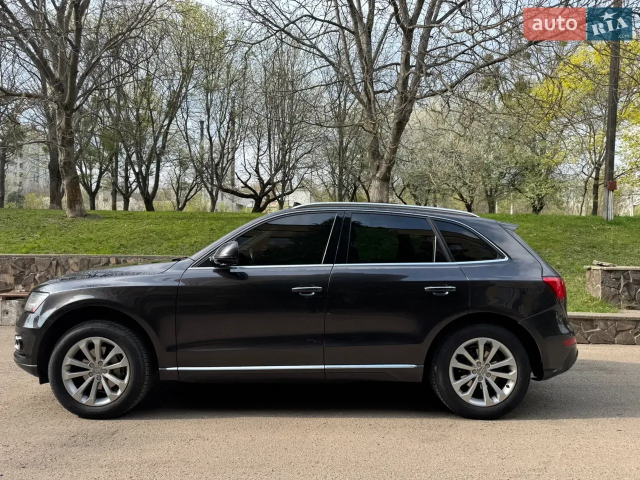 Audi Q5 2014 photo 3