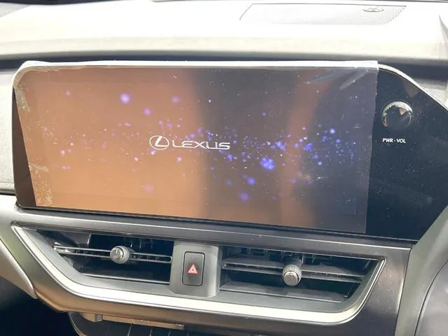 Lexus Ux300H 2024 photo 2