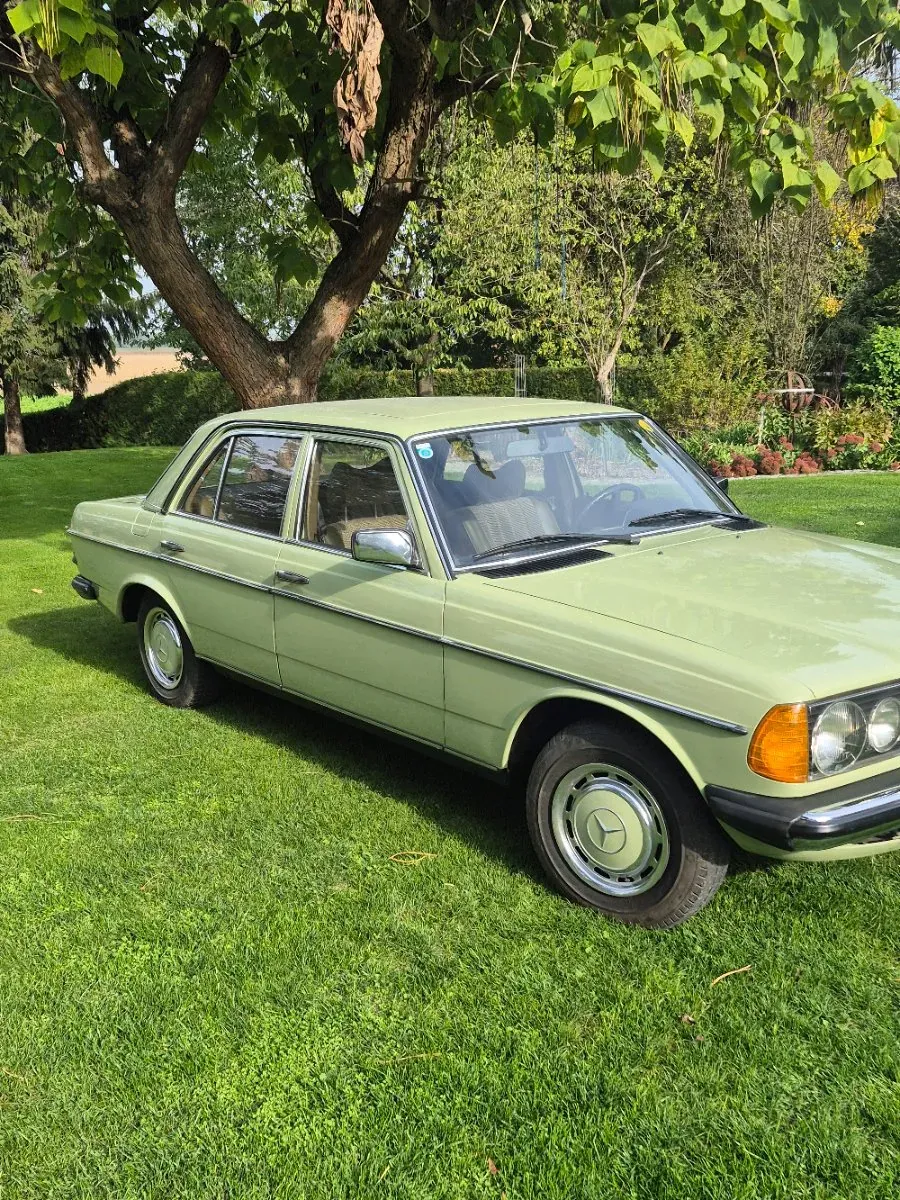 Mercedes-Benz Sonstige 1976 photo 3