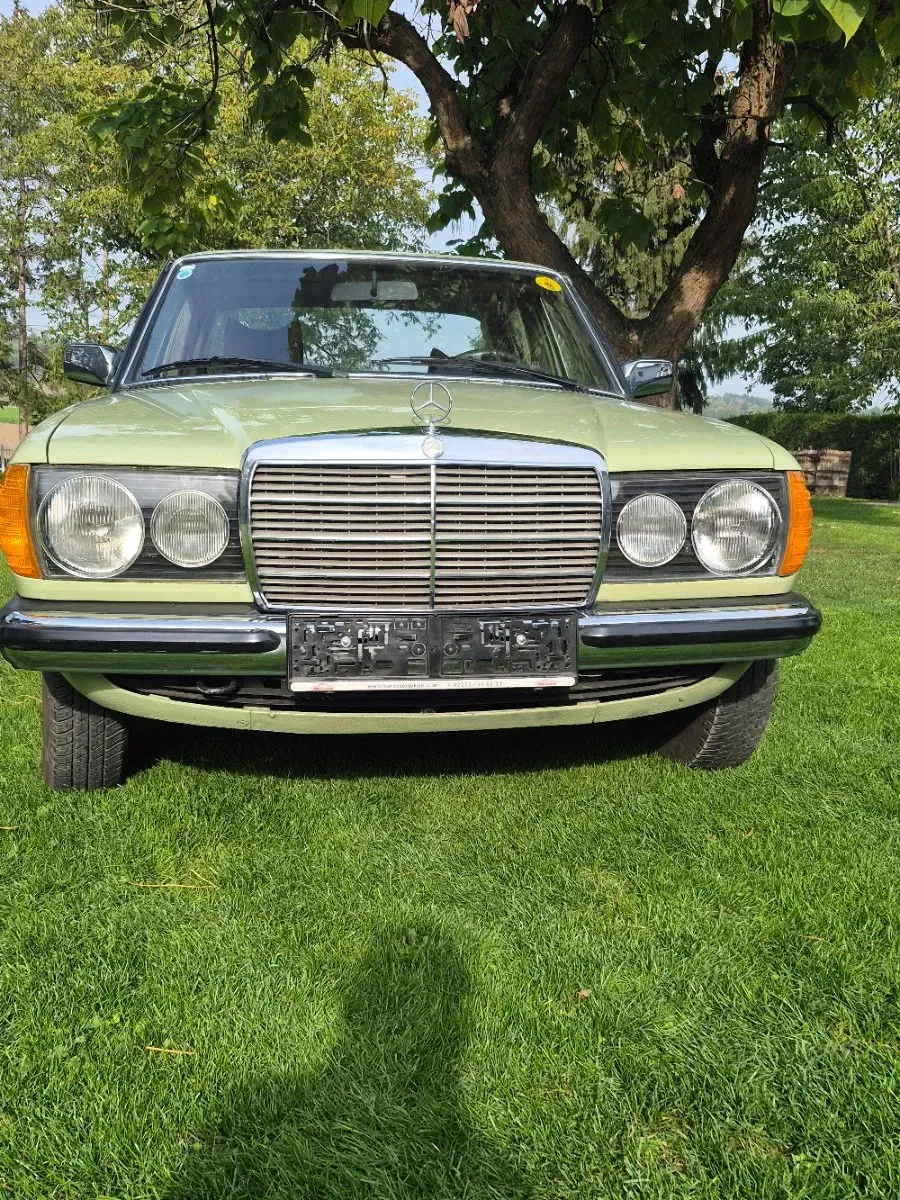 Mercedes-Benz Sonstige 1976 photo 2