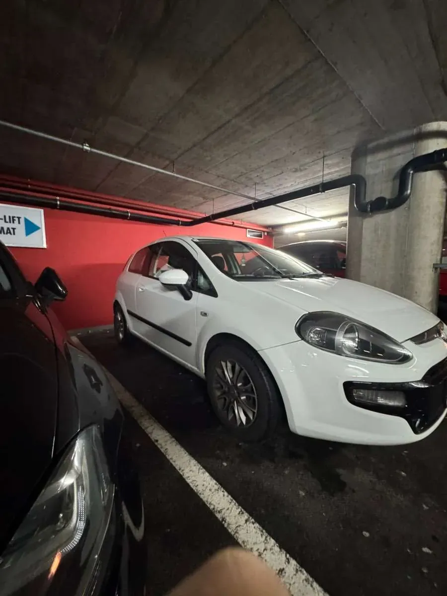 Fiat Punto 2011 photo 3