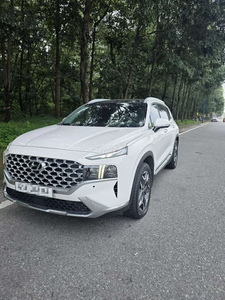 Hyundai Santa Fe 2024 photo 2