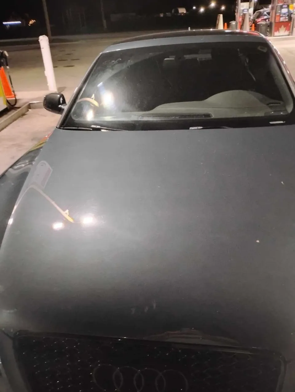 Audi S5 2010 photo 3
