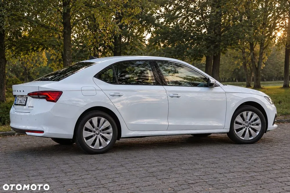 Skoda Octavia 2024 photo 5