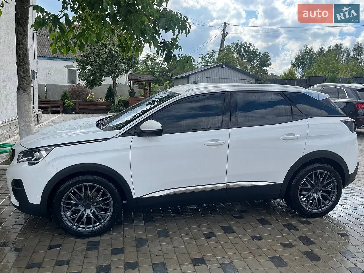 Peugeot 3008 2019 photo 3