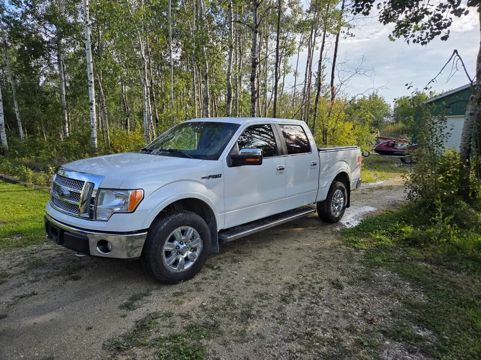 Ford F-150 2010 photo 2