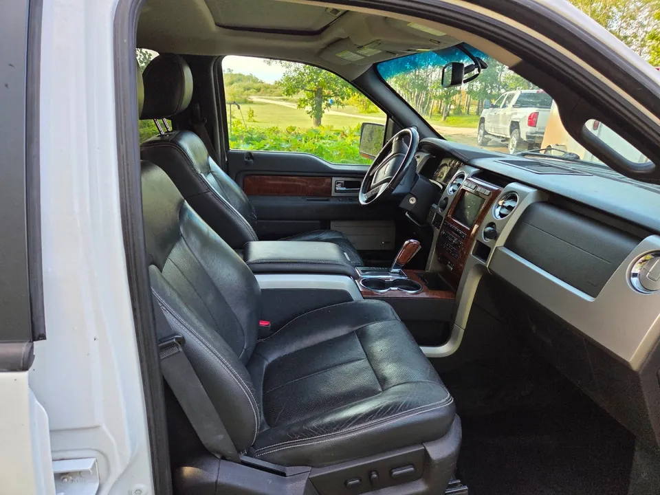 Ford F-150 2010 photo 3