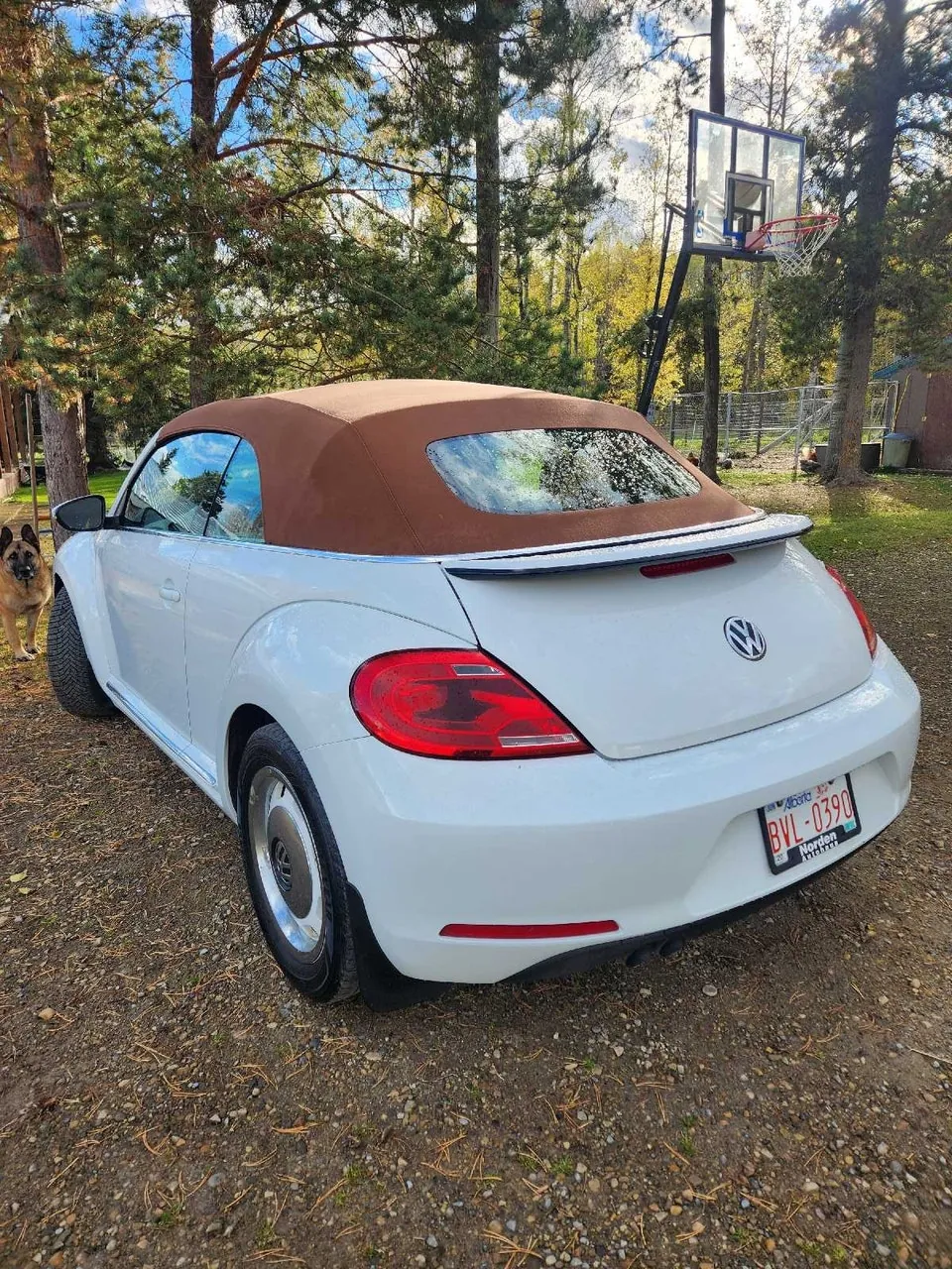 Volkswagen Beetle 2016 photo 2