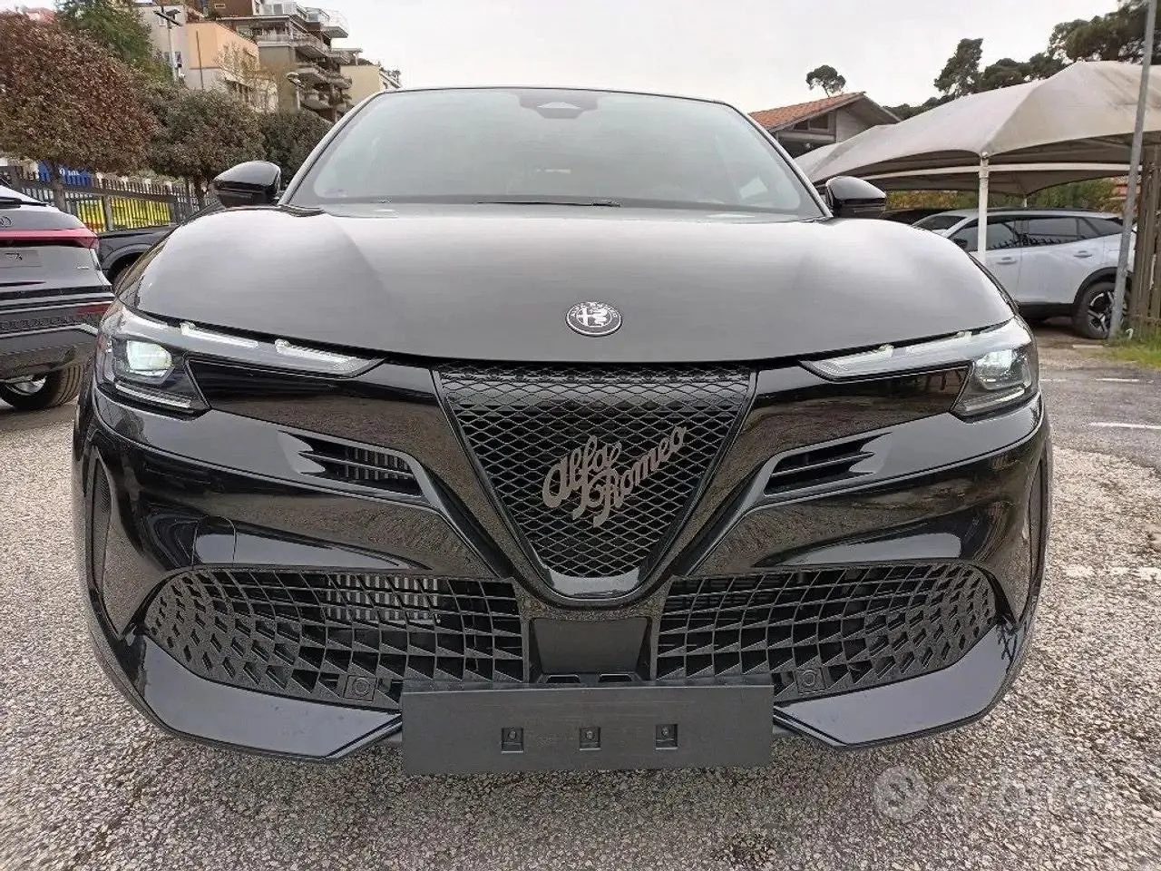 Alfa Romeo Junior 2026 photo 2