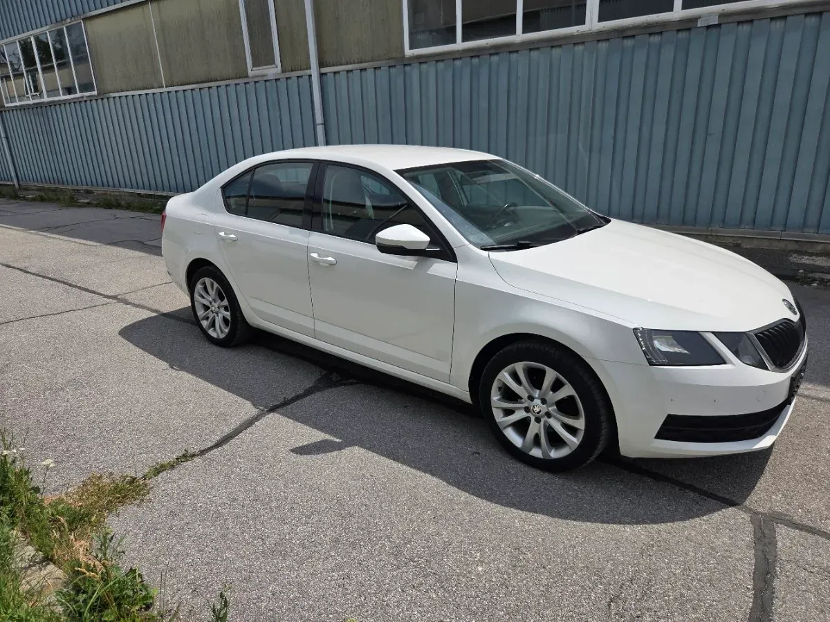Skoda Octavia 2020 photo 2