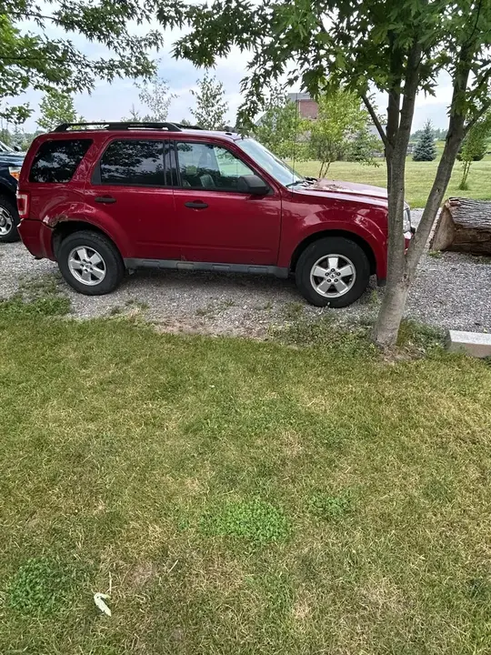Ford Escape 2010 photo 3