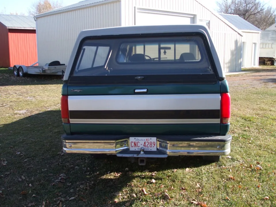 Ford F-150 1996 photo 3