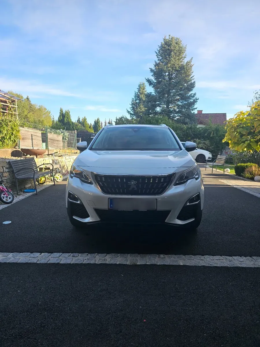 Peugeot 3008 2020 photo 2