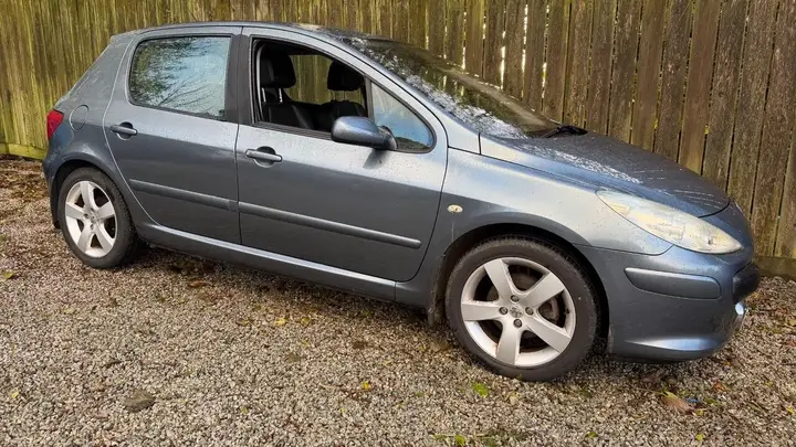 Peugeot 307 2006 photo 2