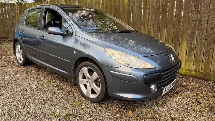Peugeot 307 2006 photo 3
