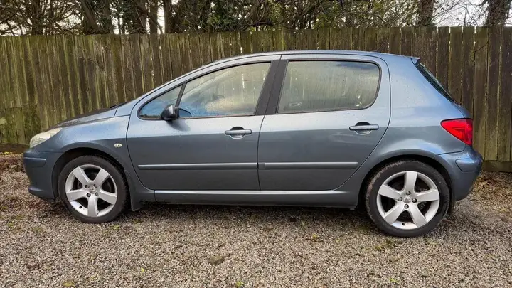 Peugeot 307 2006 photo 5