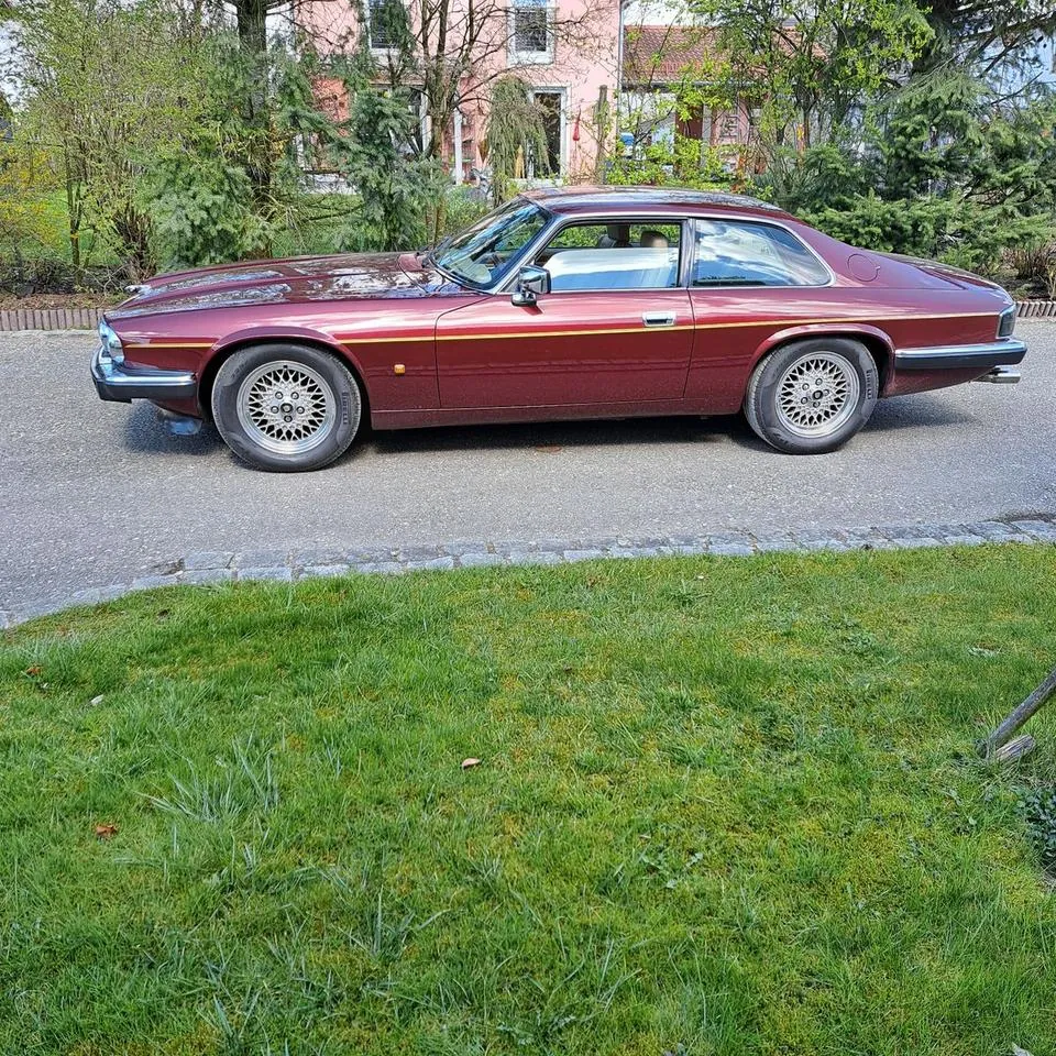 Jaguar Xjs