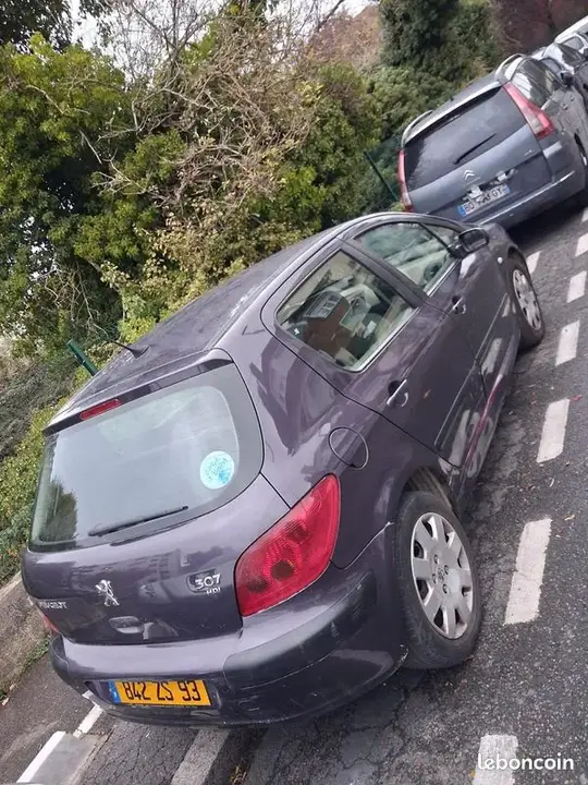 Peugeot 307 2002 photo 5