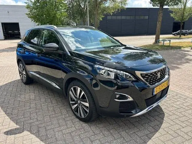 Peugeot 3008 2019 photo 3