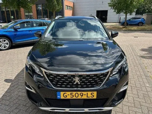 Peugeot 3008 2019 photo 2