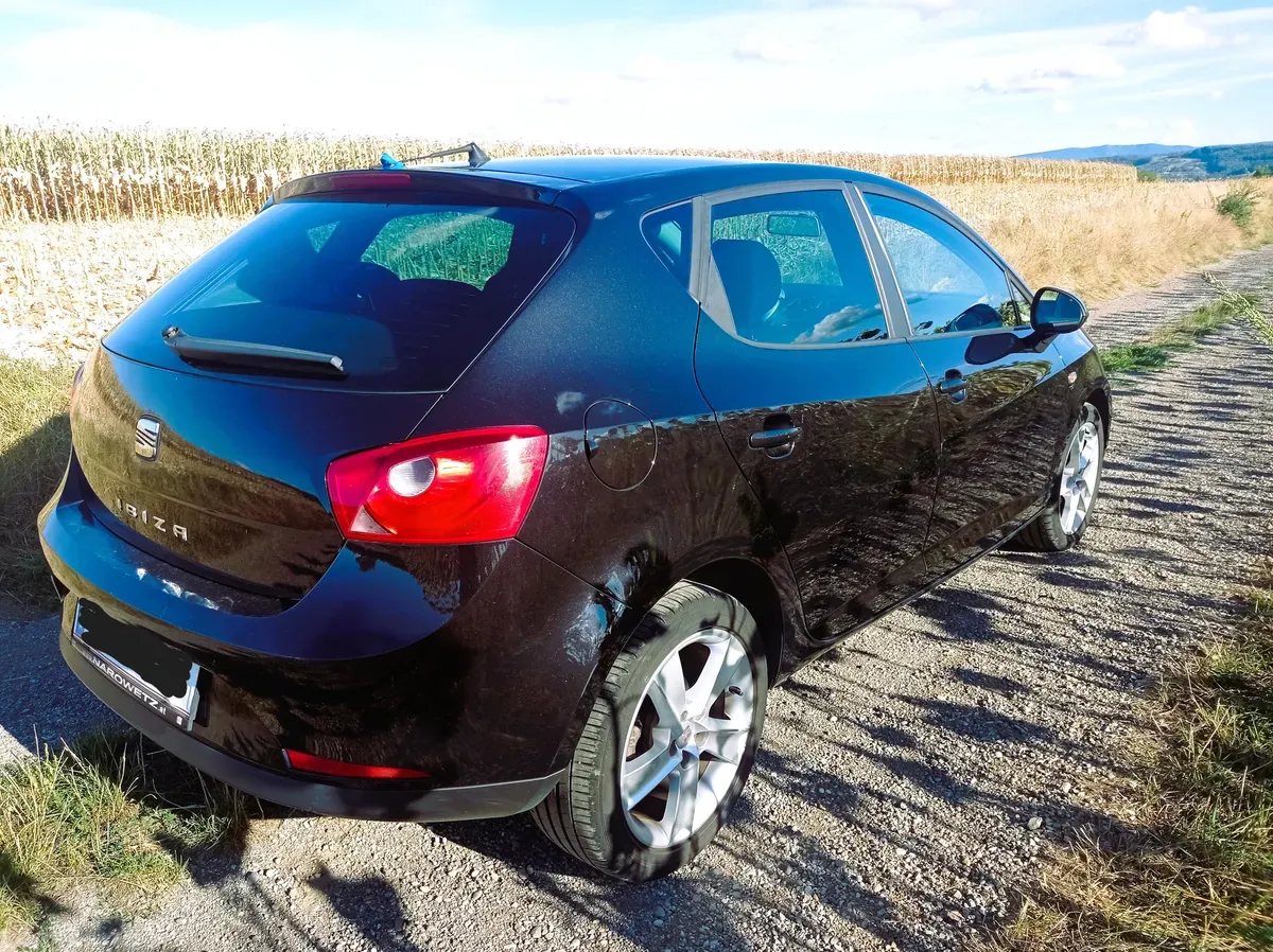 Seat Ibiza 2011 photo 3