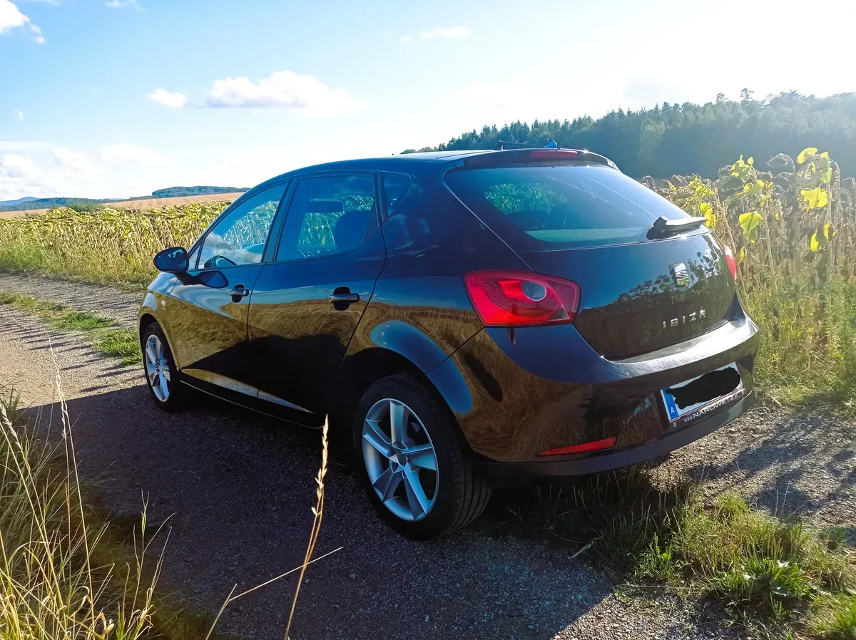 Seat Ibiza 2011 photo 2