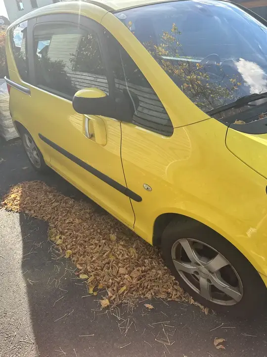 Peugeot 1007 2008 photo 2