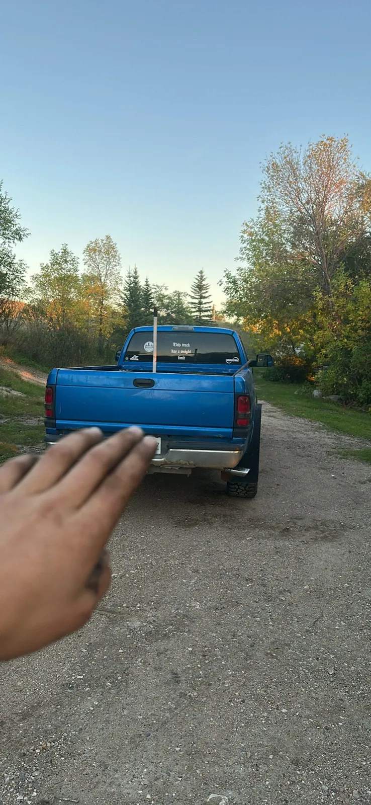 Dodge 1500 1999 photo 3