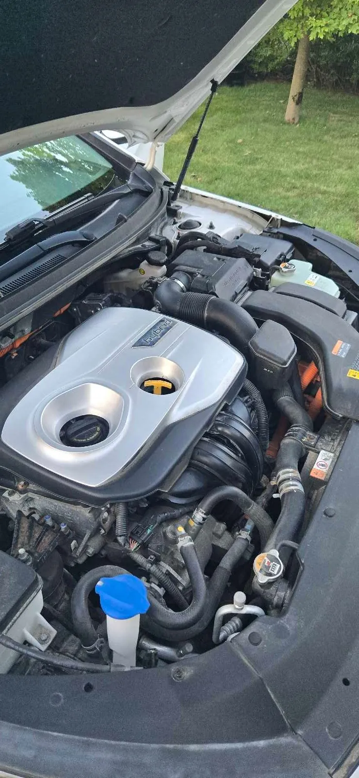 Hyundai Sonata 2019 photo 3