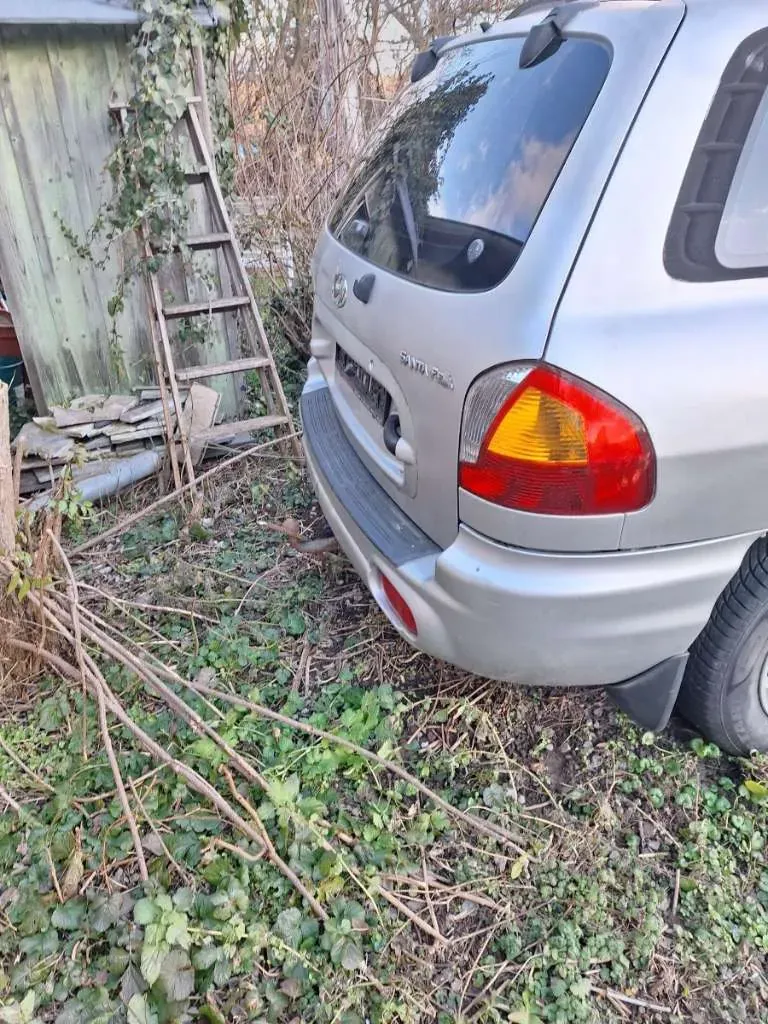 Hyundai Santa Fe 2002 photo 3